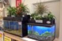 popup_320_240_ON popup_320_240_ON