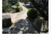 2009.8.5 004 / / / 2009.8.5 004 / / /